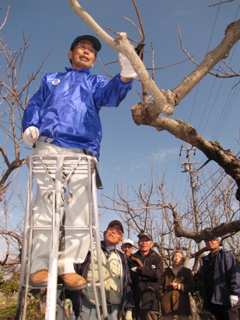 JA 海部東農業協同組合（あまひがし） -果樹の剪定・管理方法を学ぶ