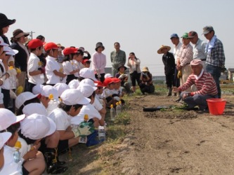 JA 海部東農業協同組合（あまひがし） -サツマイモの定植で農業体験
