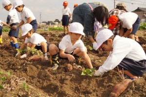 JA 海部東農業協同組合（あまひがし） -小学校児童が農業体験