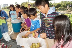 JA 海部東農業協同組合（あまひがし） -ほくほくのサツマイモを収穫