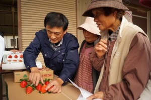 JA 海部東農業協同組合（あまひがし） -甘さが特徴のイチゴが出荷スタート
