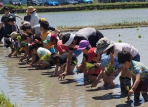 JA 海部東農業協同組合（あまひがし） -親子で米作りを体験
