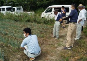 JA 海部東農業協同組合（あまひがし） -作業効率を考えたネギ栽培へ ネギの圃場巡回