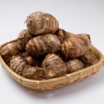 JA 海部東農業協同組合（あまひがし） -高温好みで乾燥を嫌う、サトイモ作りのポイント