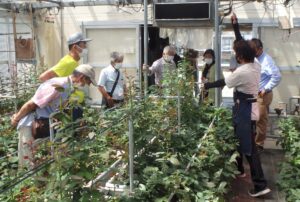 JA 海部東農業協同組合（あまひがし） -あま市花き園芸組合　営農知識向上の為の視察研修