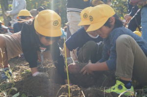 JA 海部東農業協同組合（あまひがし） -青壮年部・伊福保全会　土壌改良により収穫量アップ