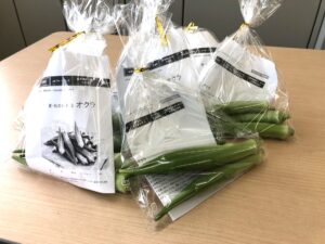 JA 海部東農業協同組合（あまひがし） -皆様に親しまれる支店を目指して　支店で栽培したオクラを配布