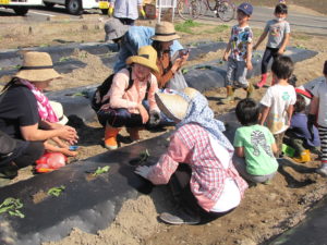 JA 海部東農業協同組合（あまひがし） -親子でサツマイモ栽培体験