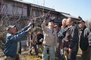JA 海部東農業協同組合（あまひがし） -神守壮年者友の会　果樹の管理方法・剪定を学ぶ