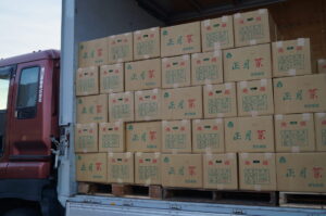 JA 海部東農業協同組合（あまひがし） -甚目寺園芸協議会 お正月に向けて正月菜を出荷