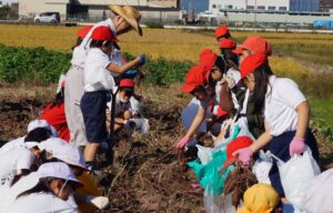 JA 海部東農業協同組合（あまひがし） -実りと収穫の秋 サツマイモの収穫体験