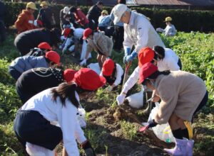 JA 海部東農業協同組合（あまひがし） -美味しい野菜を掘り起こそう 秋冬野菜の収穫体験を実施