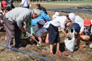 JA 海部東農業協同組合（あまひがし） -秋の味覚を掘り起こそう サツマイモ収穫体験