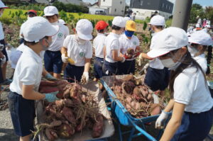 JA 海部東農業協同組合（あまひがし） -実りの秋を体感しよう　小学校の収穫体験に協力