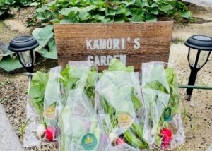 JA 海部東農業協同組合（あまひがし） -KAMOR‘I S GARDEN誕生　初めて収穫した野菜をお客様へ配布
