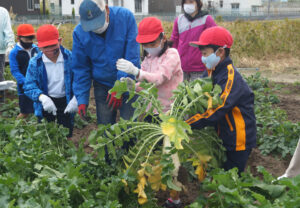 JA 海部東農業協同組合（あまひがし） -新鮮な野菜を収穫しよう　小学校の畑で収穫体験を開催